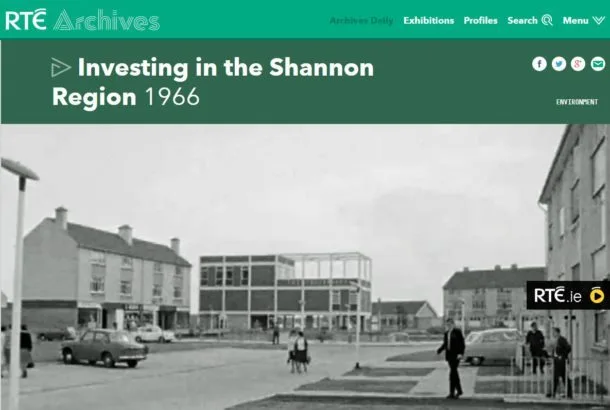 Wildlife of the Shannon estuary