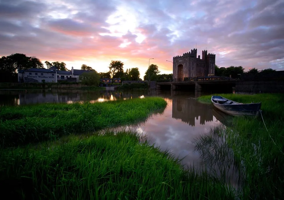 Using the Shannon business directory